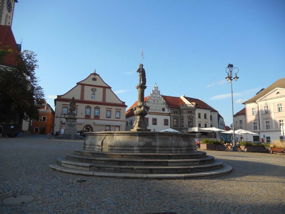  XVI 
